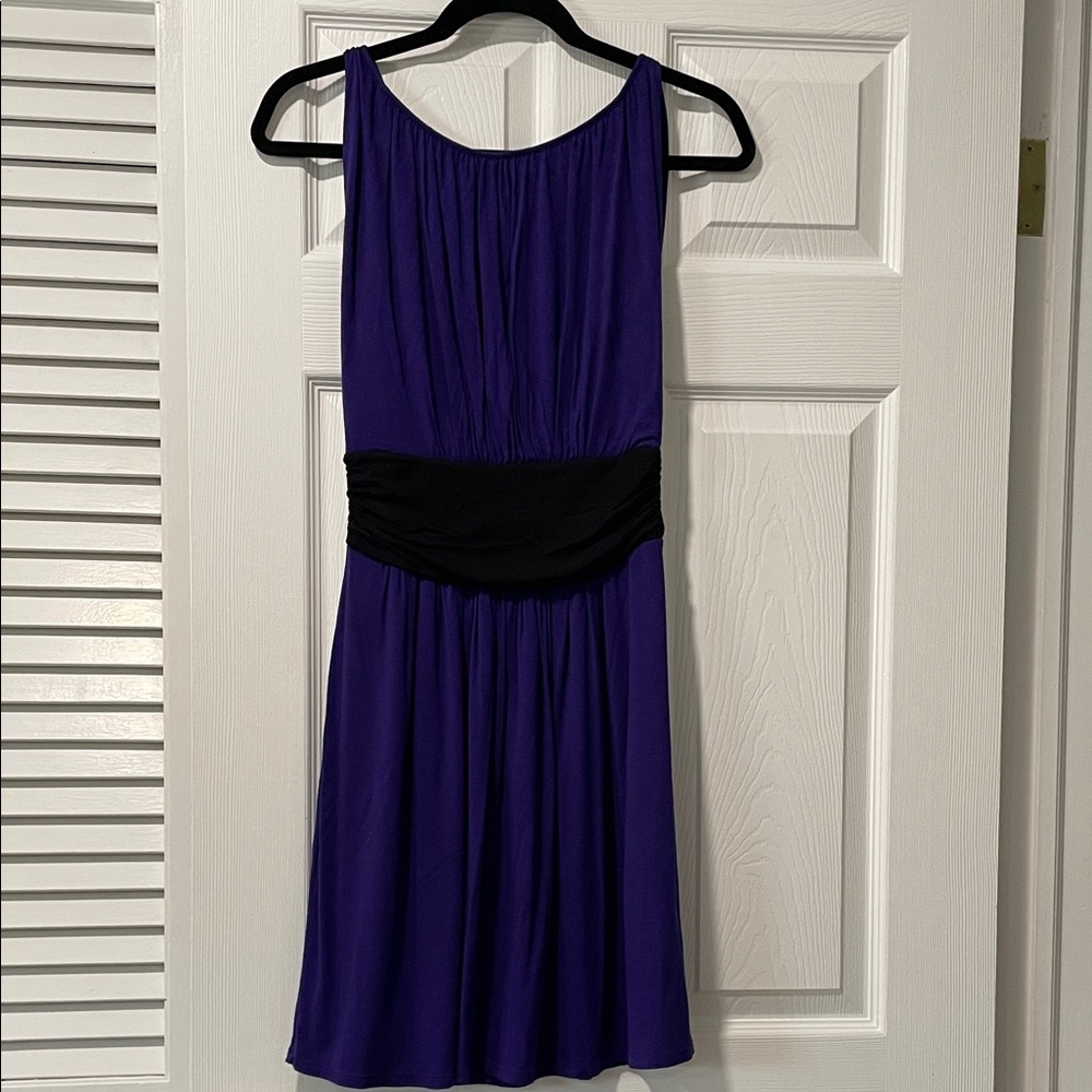 Express Purple and Black Midi Dress